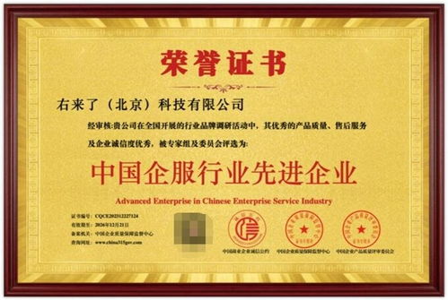 右來了科技榮獲“中國(guó)企服行業(yè)先進(jìn)企業(yè)”稱號(hào)，彰顯信息系統(tǒng)集成服務(wù)卓越實(shí)力
